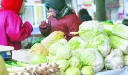 郑州菜价最新爆料,涨跌波动，市民生活受影响